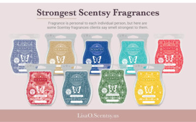 Which Scentsy Fragrances are the Strongest?