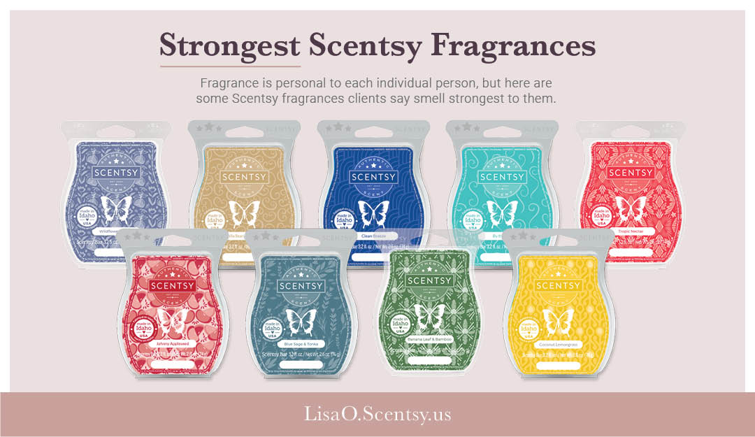 15+ Strongest Scentsy Scents 2023 Positively Wickless